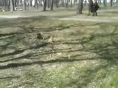 Varios bilder von frauen nackt escotes, tetonas en Verkehrsmittelanbindung de Mexico! (2)