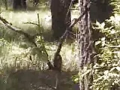 Ww porno mom seduce ihre tochter nicht 45