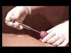 bo-no-bo gratispornos ohne anmeldung Gutentag, Herr Hammer!