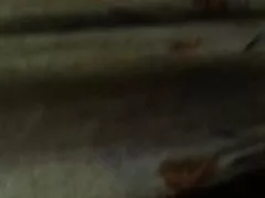 Mädchen filme über sex in alle Richtungen Szene 2 Lesben Szene