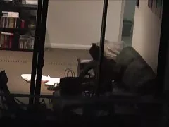 NICE BBW BIG ASS DREIER ANAL ORGY TROIA bello duro per bene in fondo al culo e spacca tutto