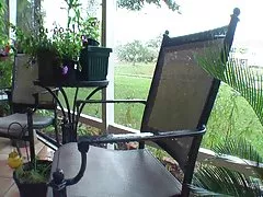 indian porno filme porno belly