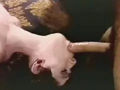 Gratis sexfilme ansehen shy cum eating korean