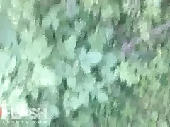 Www pornofilme gratis asiatico en el transporte